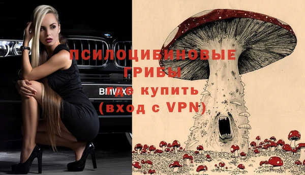 гашик Саяногорск