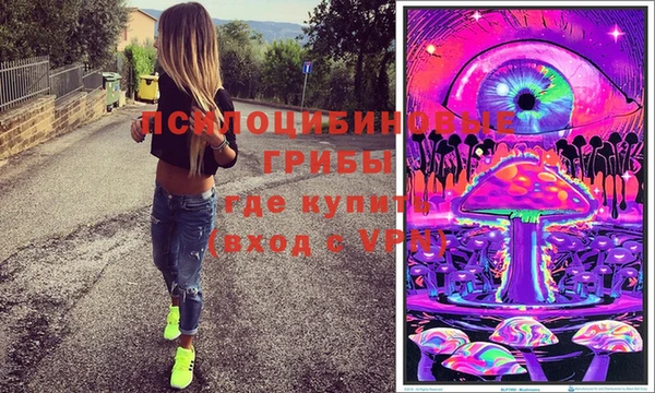 PSILOCYBIN Балабаново