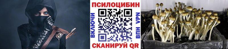 Псилоцибиновые грибы мухоморы  Бирюч 
